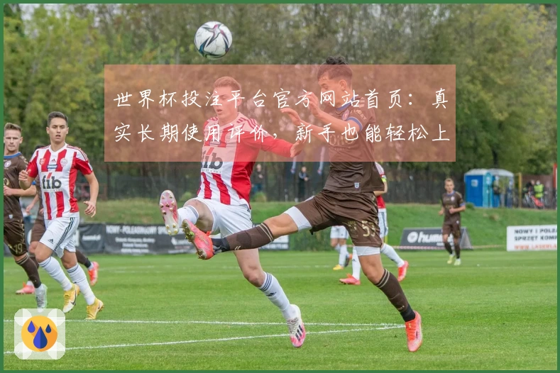 世界杯投注平台官方网站首页：真实长期使用评价，新手也能轻松上手体验