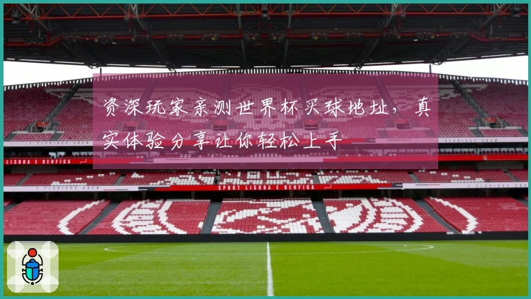 资深玩家亲测世界杯买球地址,真实体验分享让你轻松上手