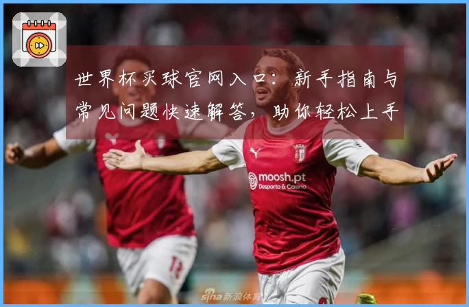 世界杯买球官网入口：新手指南与常见问题快速解答，助你轻松上手体验