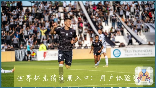 世界杯竞猜注册入口:用户体验深度测评,官方指南助您畅享赛事直播